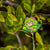 Terraria - Dryad Pin